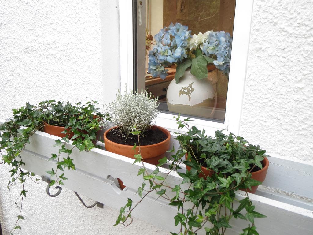 Elmbank Garden Apartment Oban Værelse billede